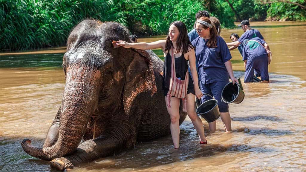 Hug Chang Chiang Mai