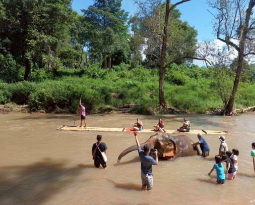Billy elephant camp, Mae Wang.