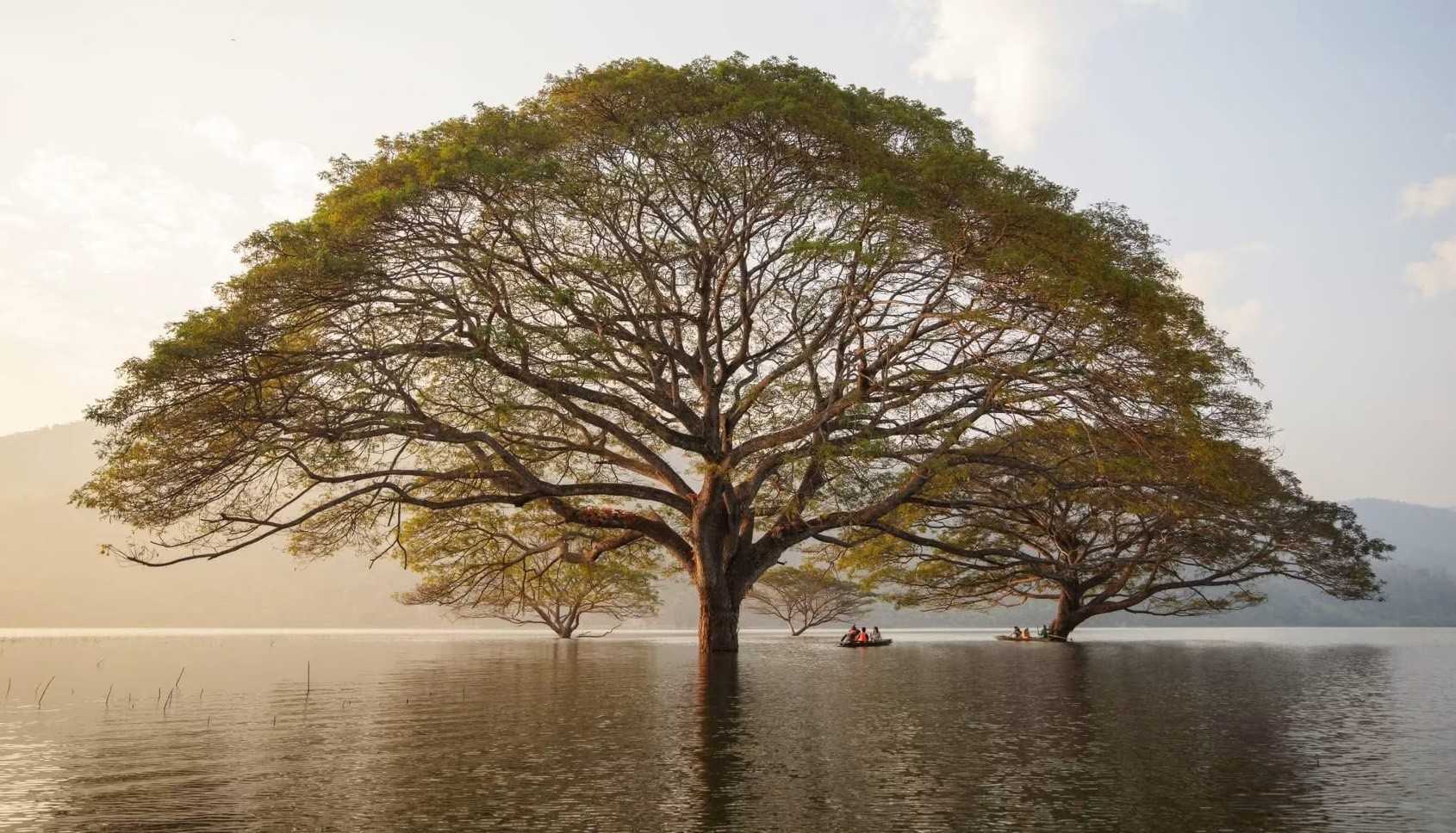 Hidden Gem of Northen Thailand